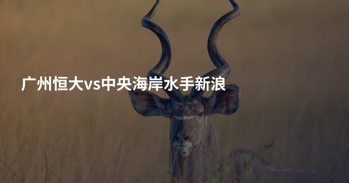 广州恒大vs中央海岸水手新浪