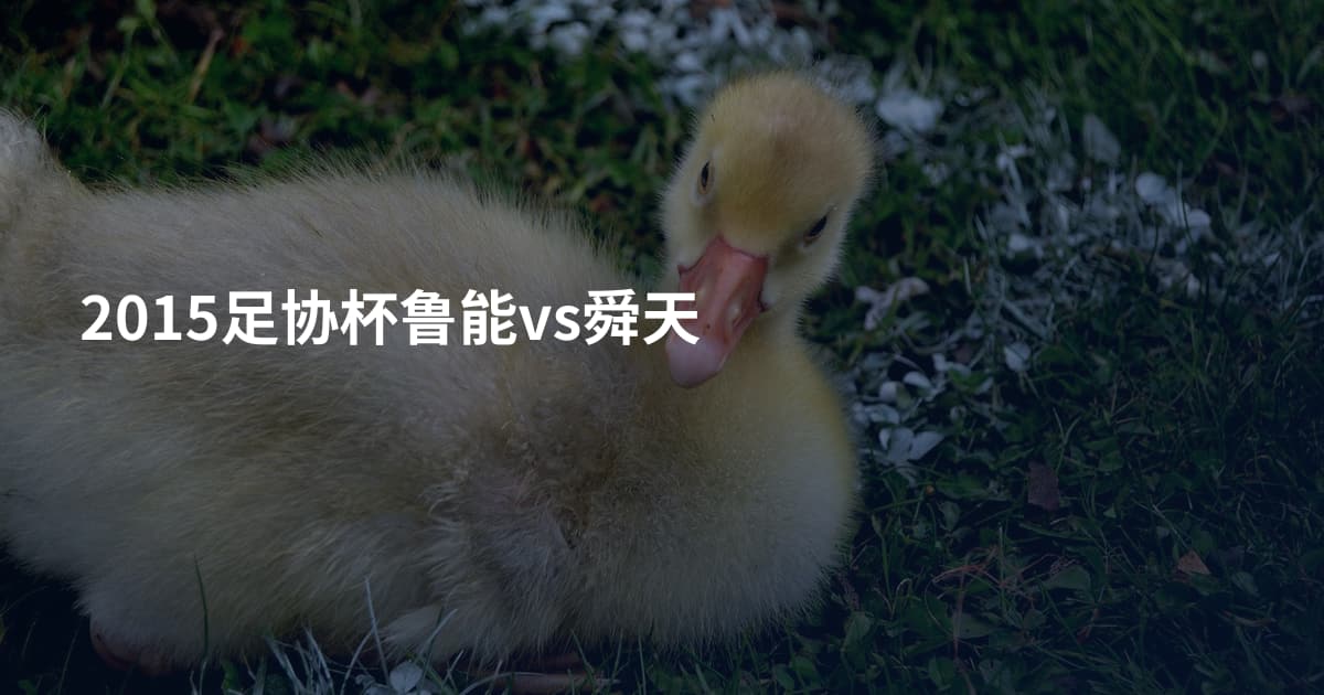 2015足协杯鲁能vs舜天