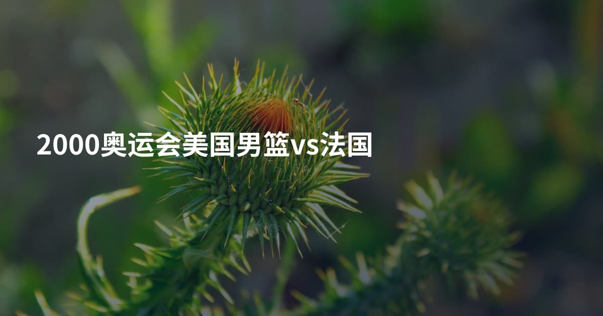 2000奥运会美国男篮vs法国