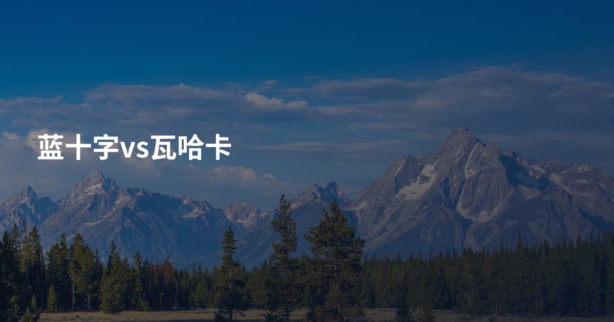 蓝十字vs瓦哈卡