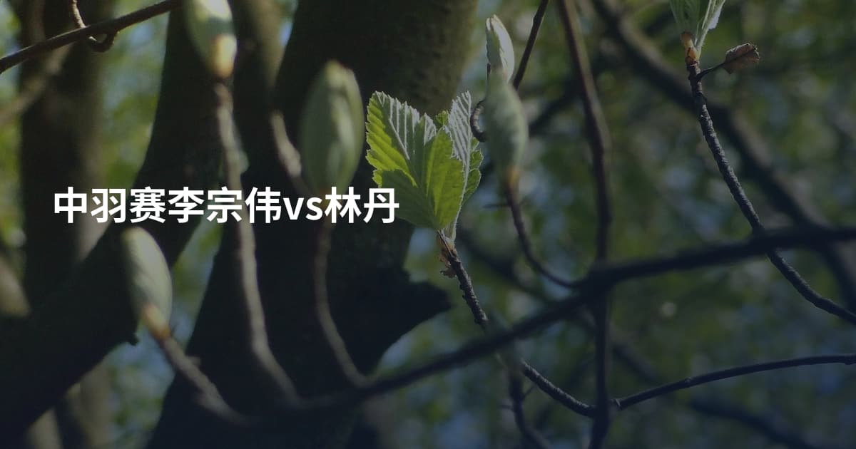 中羽赛李宗伟vs林丹