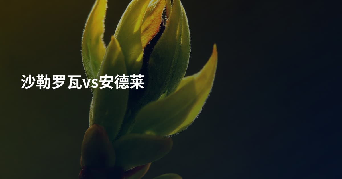 沙勒罗瓦vs安德莱