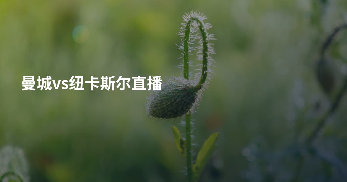 曼城vs纽卡斯尔直播