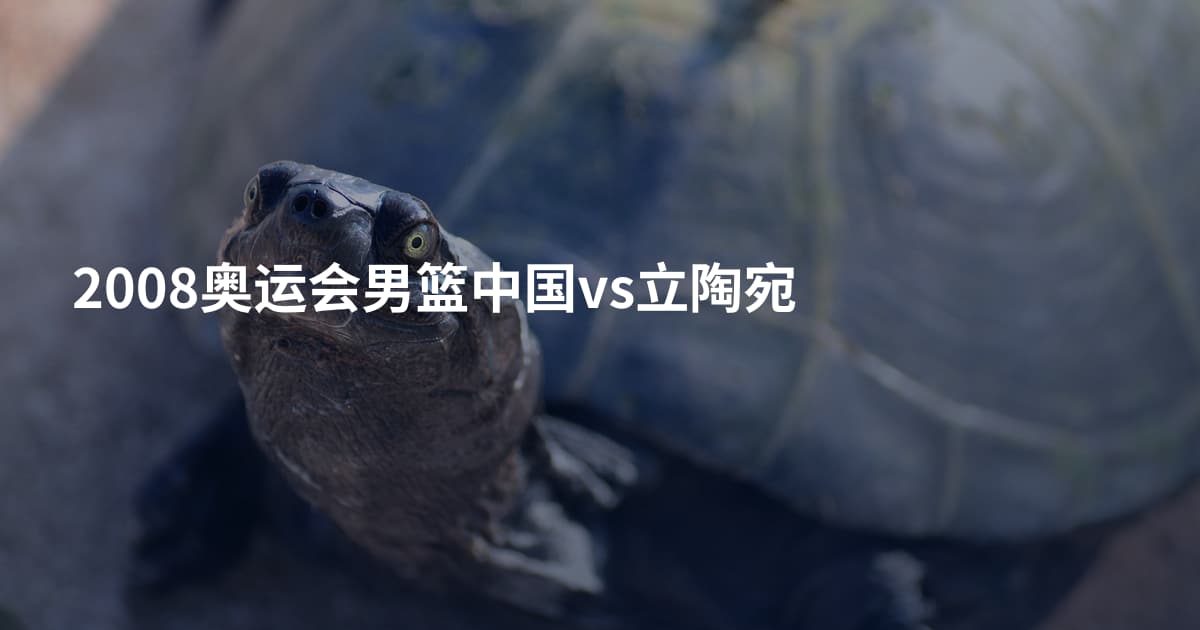 2008奥运会男篮中国vs立陶宛