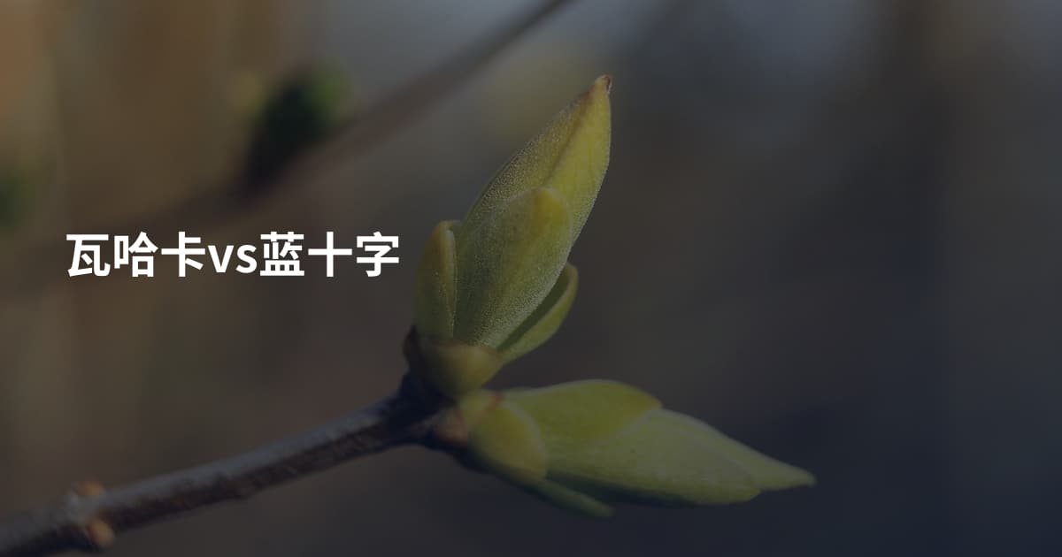 瓦哈卡vs蓝十字