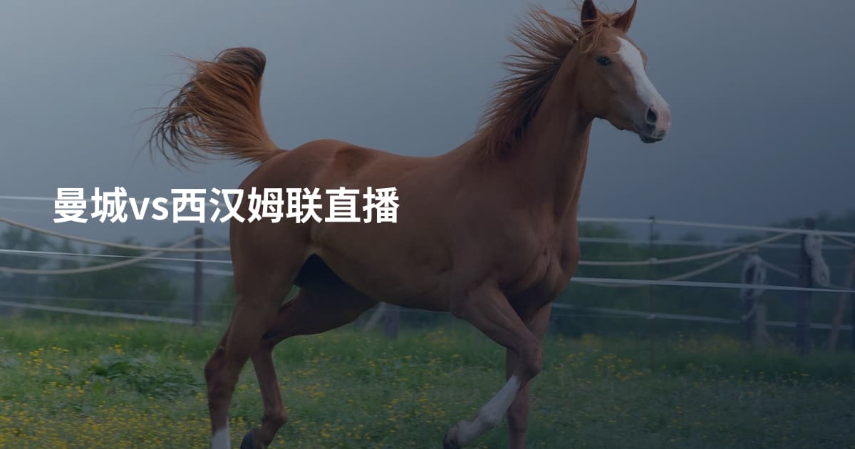 曼城vs西汉姆联直播