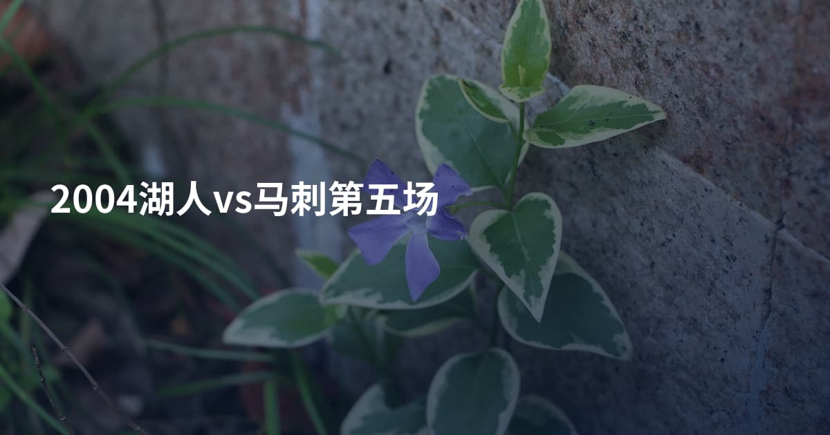 2004湖人vs马刺第五场