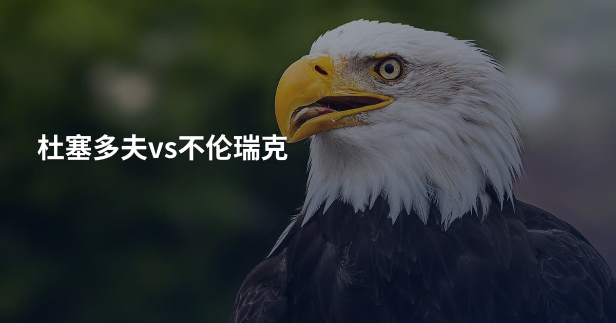 杜塞多夫vs不伦瑞克