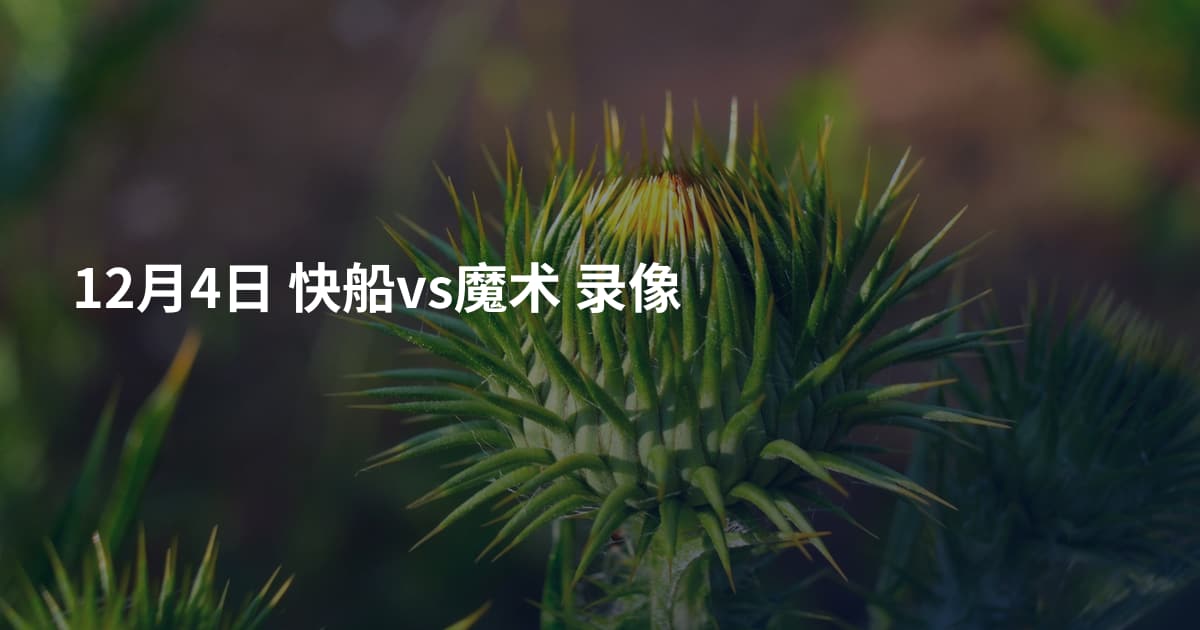 12月4日 快船vs魔术 录像