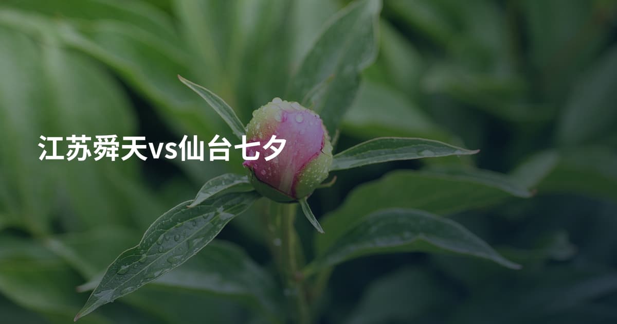 江苏舜天vs仙台七夕