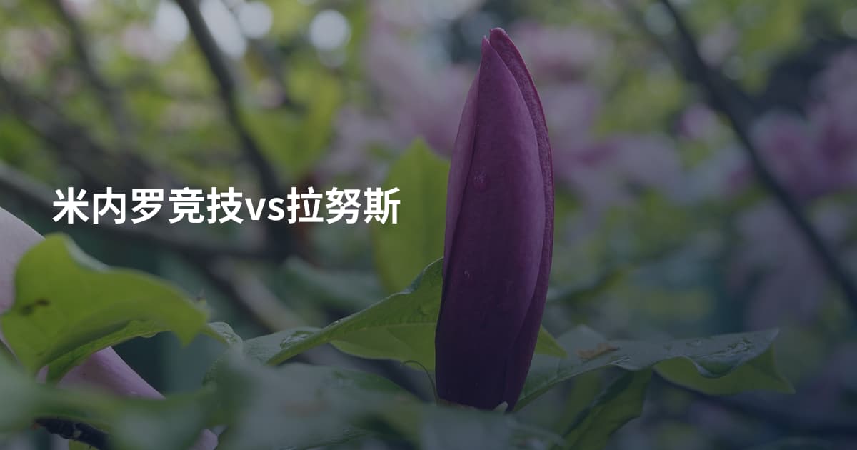 米内罗竞技vs拉努斯