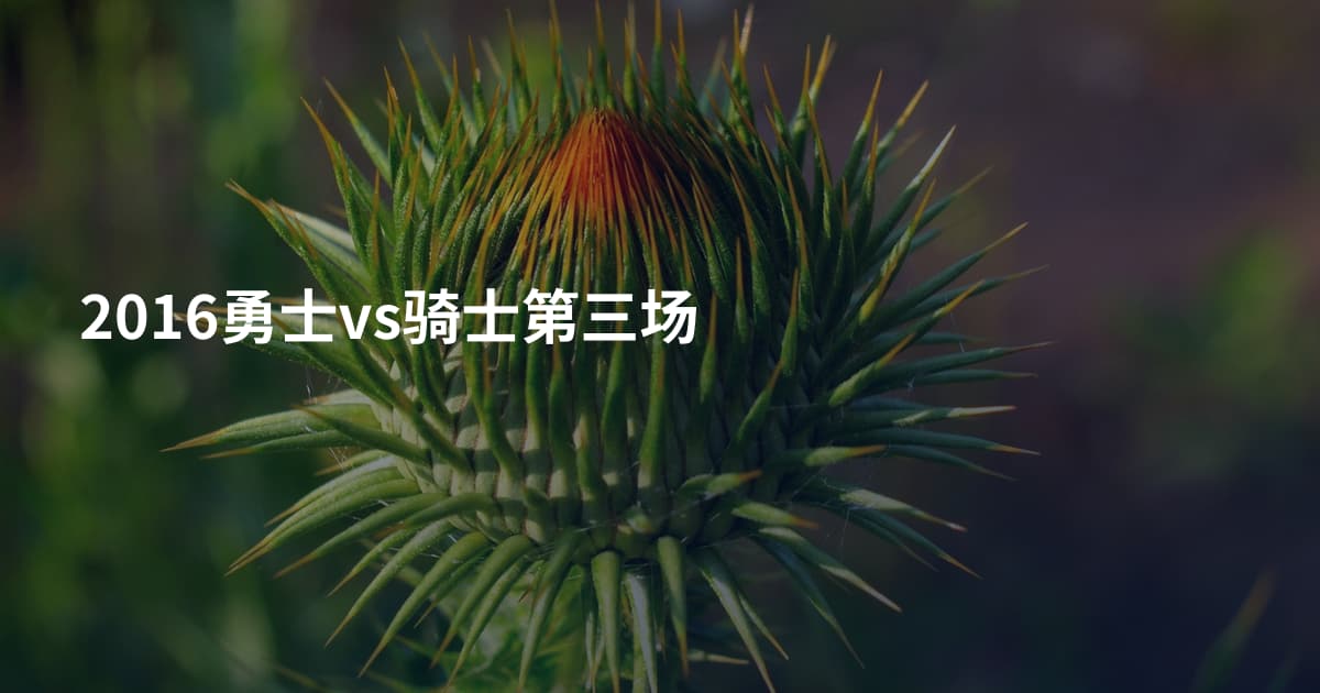 2016勇士vs骑士第三场