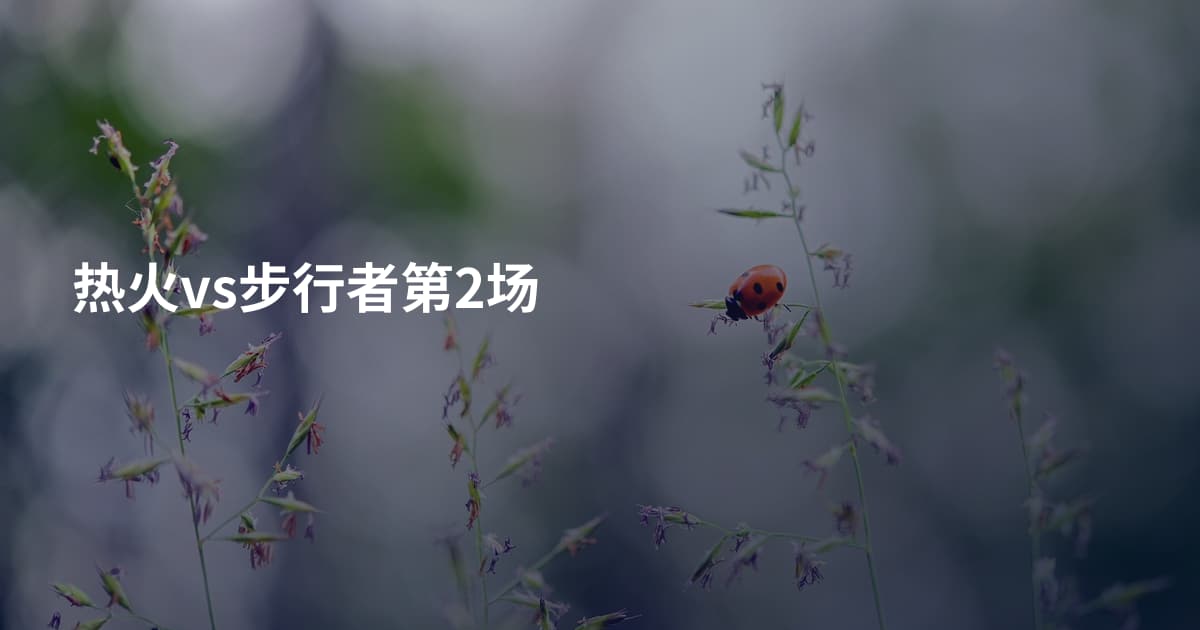 热火vs步行者第2场