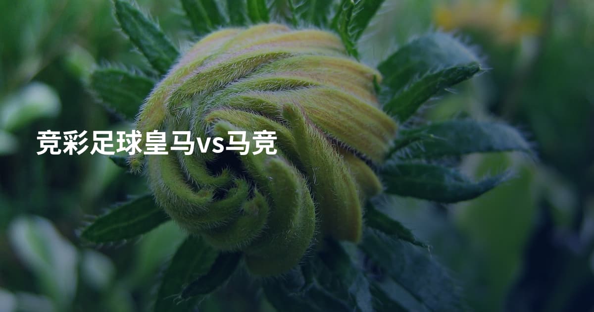竞彩足球皇马vs马竞