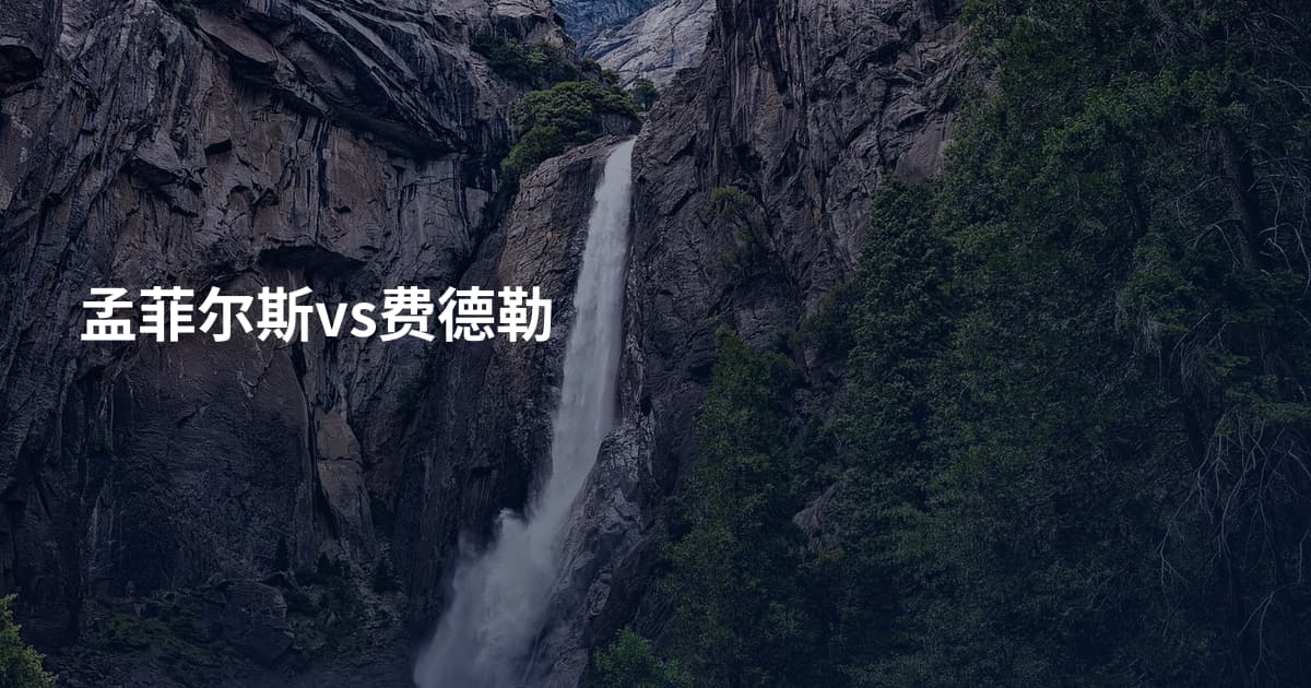 孟菲尔斯vs费德勒