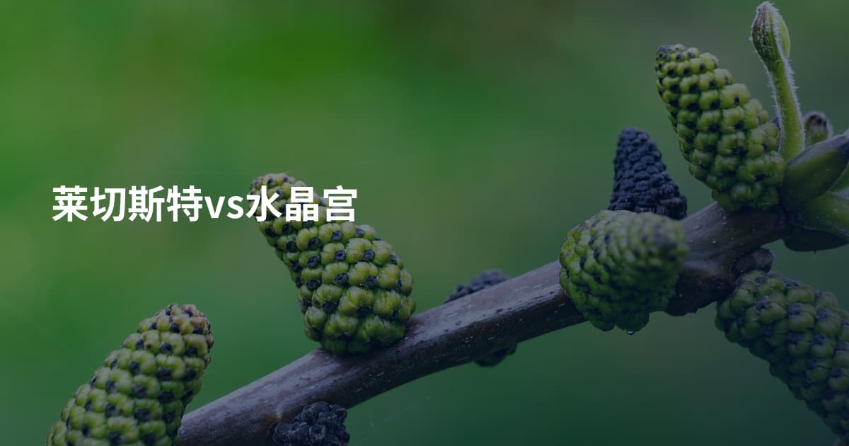 莱切斯特vs水晶宫