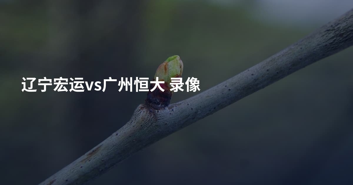 辽宁宏运vs广州恒大 录像