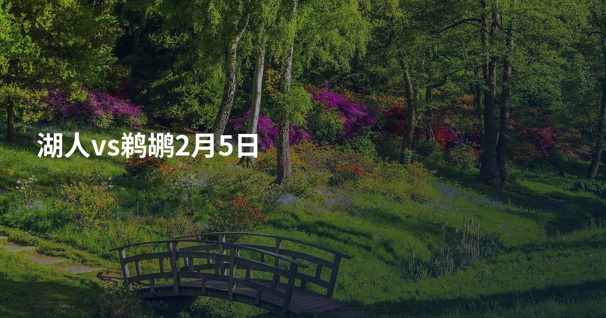 湖人vs鹈鹕2月5日