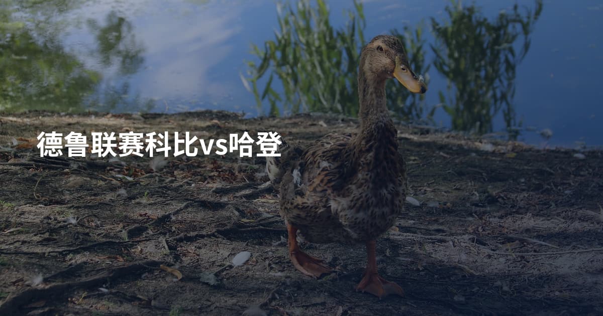 德鲁联赛科比vs哈登