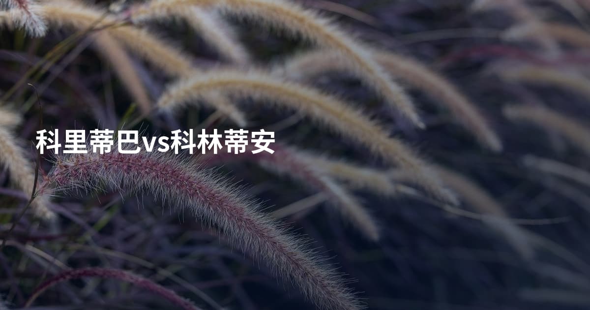科里蒂巴vs科林蒂安