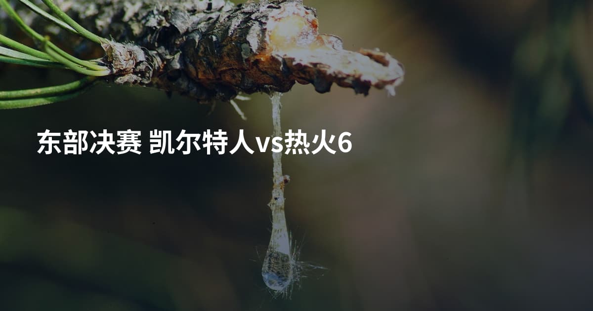 东部决赛 凯尔特人vs热火6