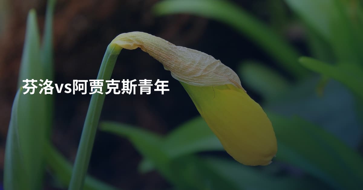 芬洛vs阿贾克斯青年