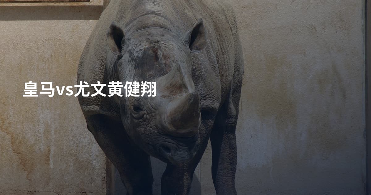 皇马vs尤文黄健翔