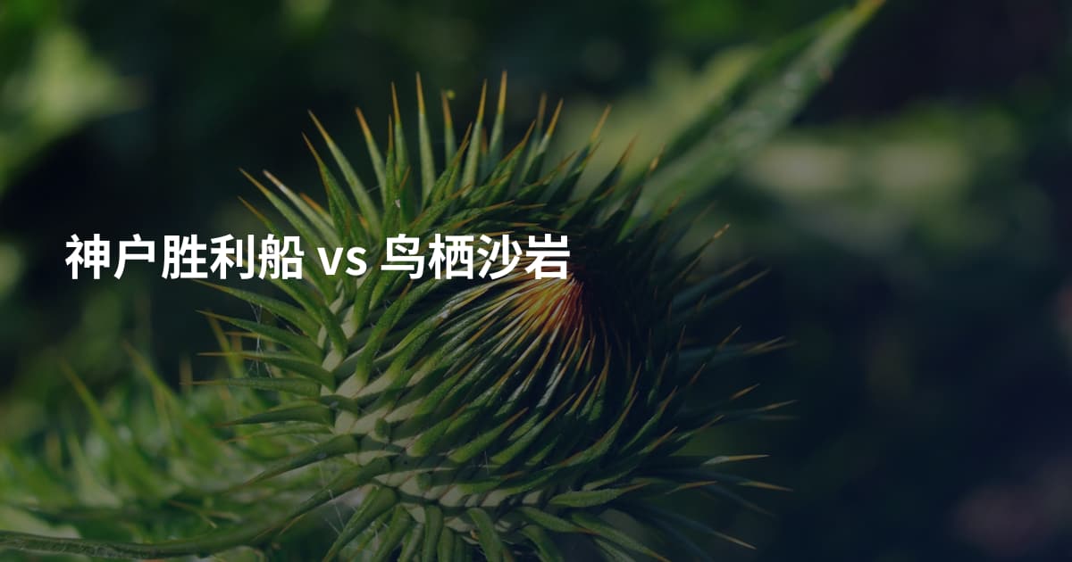 神户胜利船 vs 鸟栖沙岩