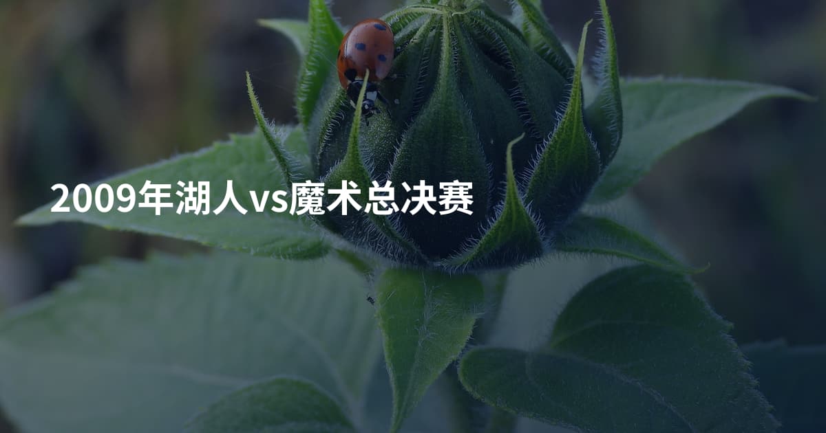 2009年湖人vs魔术总决赛