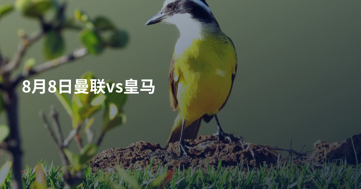 8月8日曼联vs皇马