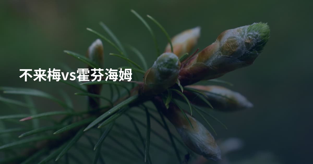 不来梅vs霍芬海姆