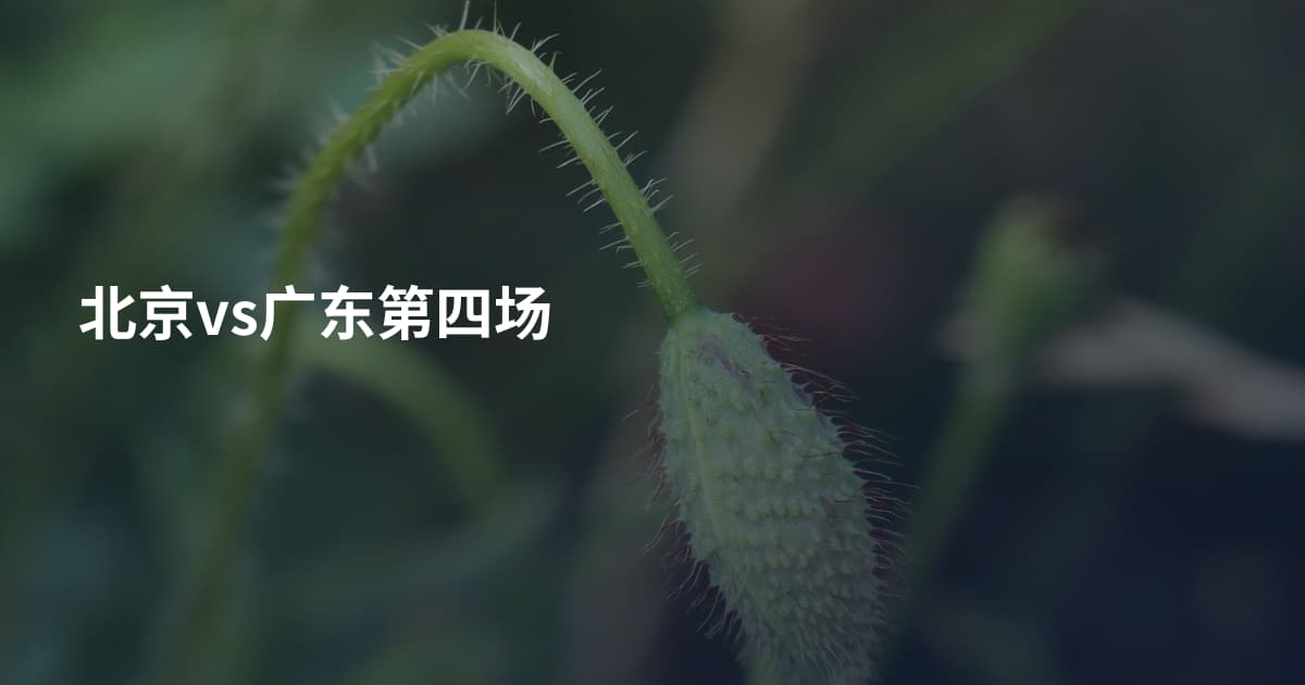 北京vs广东第四场