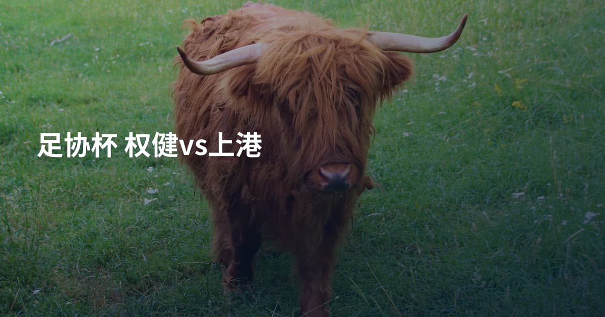 足协杯 权健vs上港