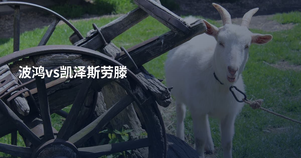 波鸿vs凯泽斯劳滕