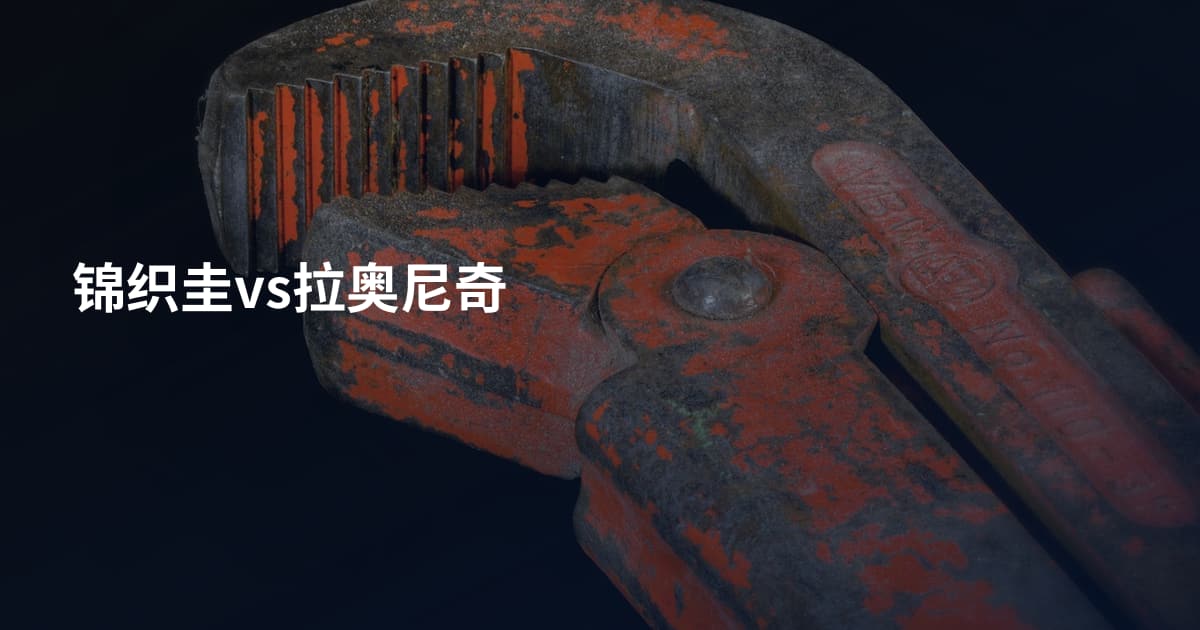 锦织圭vs拉奥尼奇