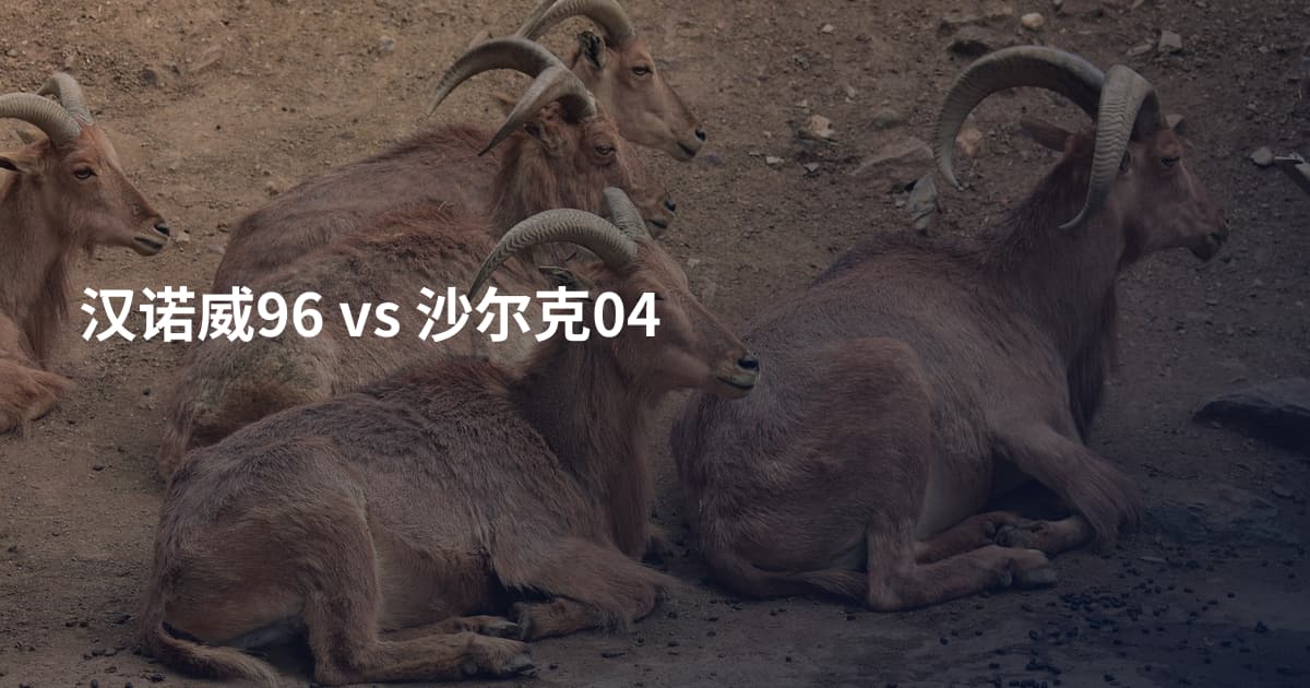 汉诺威96 vs 沙尔克04