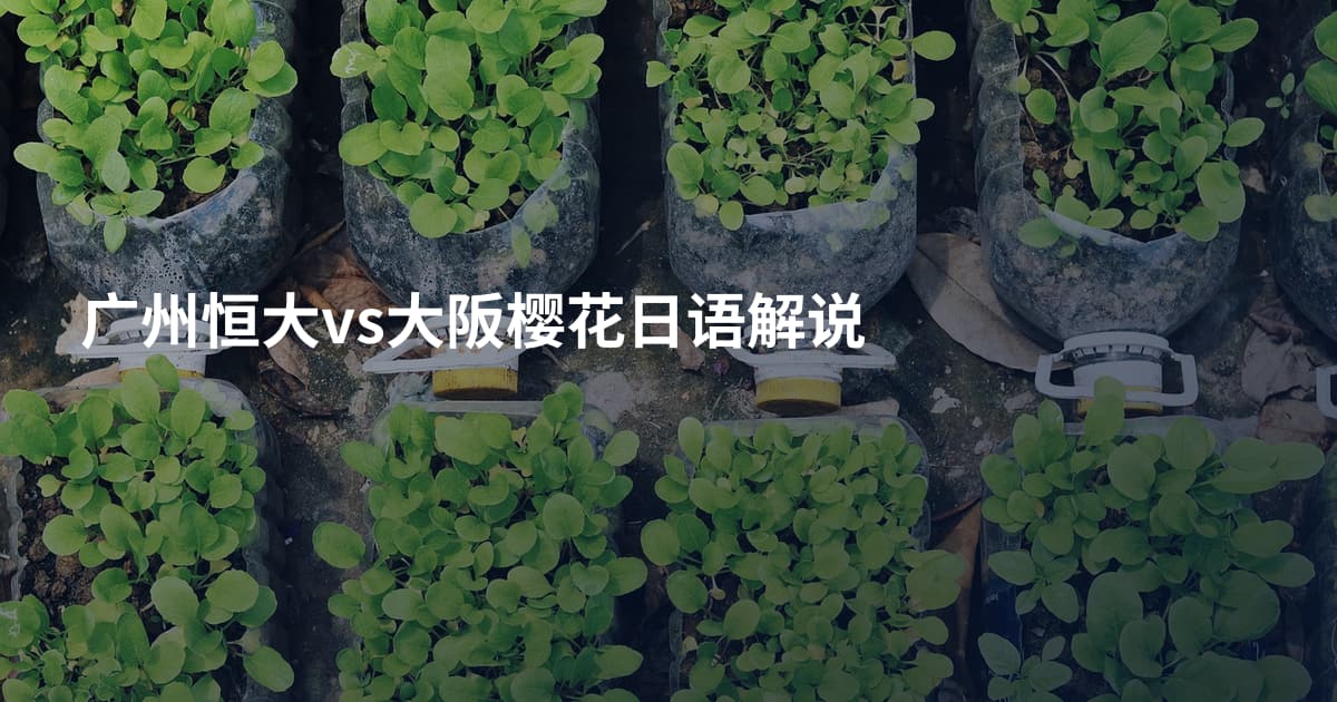 广州恒大vs大阪樱花日语解说