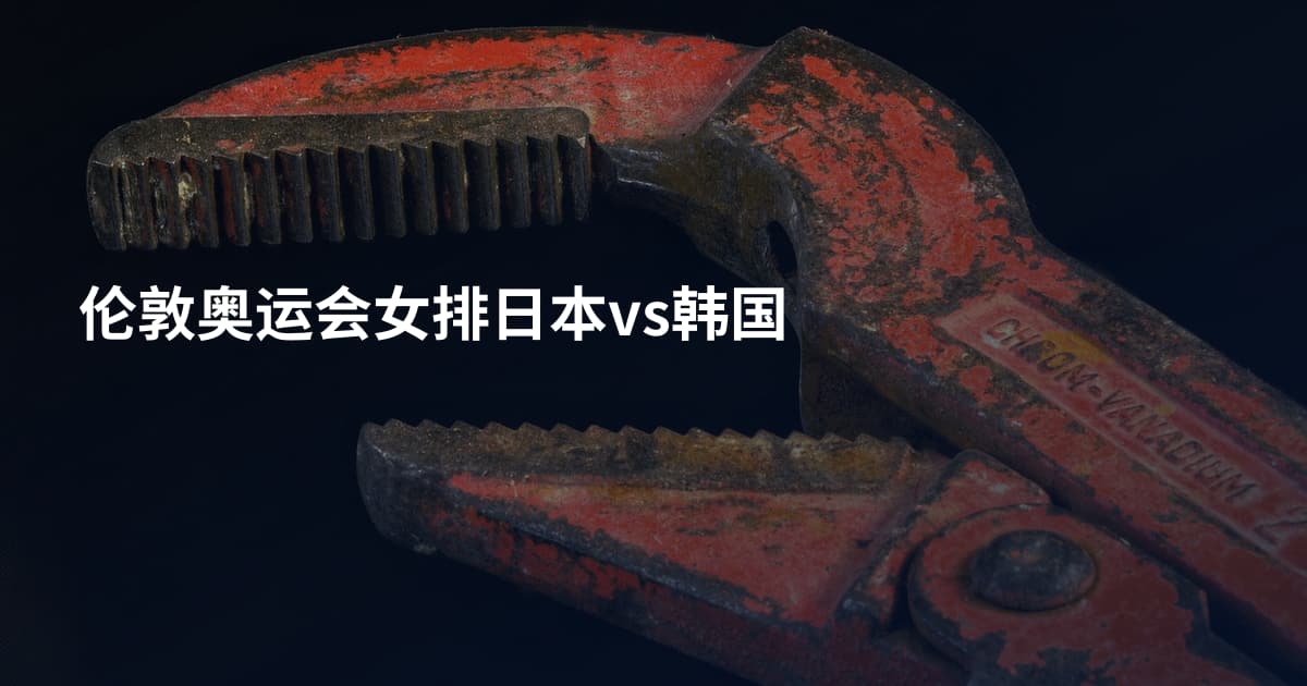 伦敦奥运会女排日本vs韩国