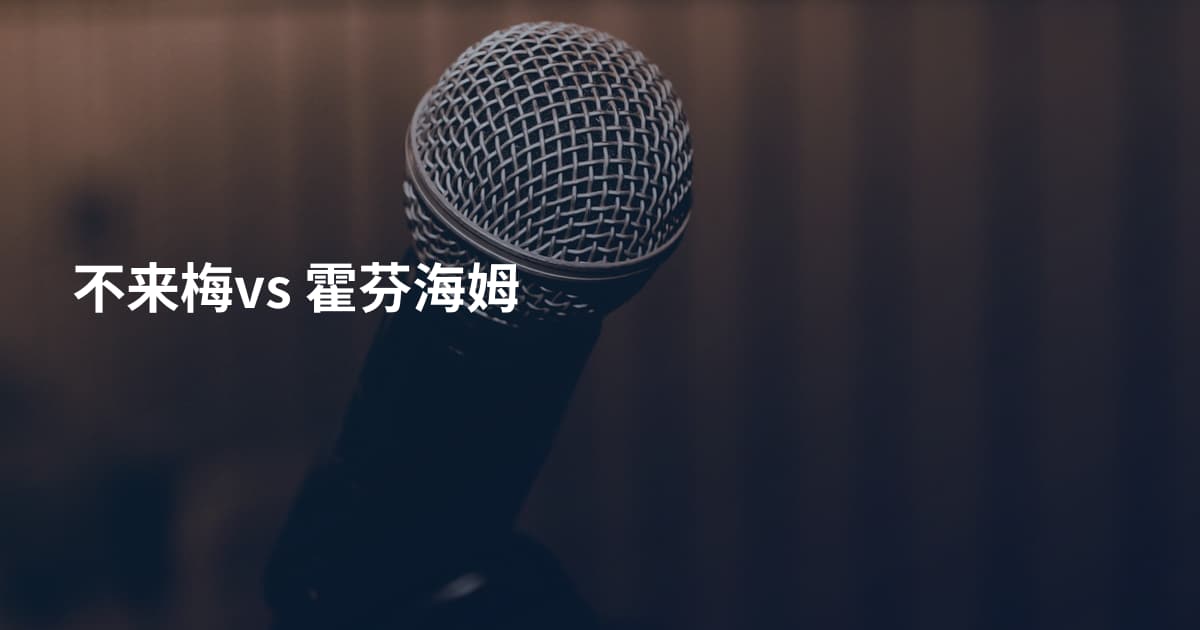 不来梅vs 霍芬海姆