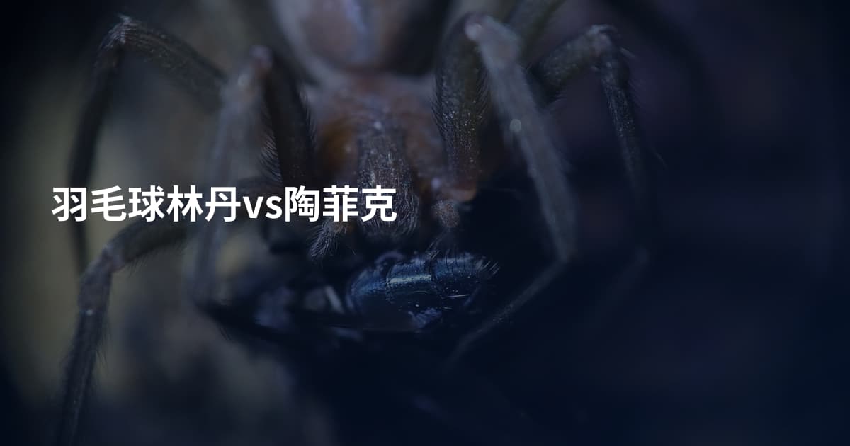 羽毛球林丹vs陶菲克