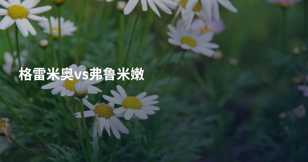 格雷米奥vs弗鲁米嫩