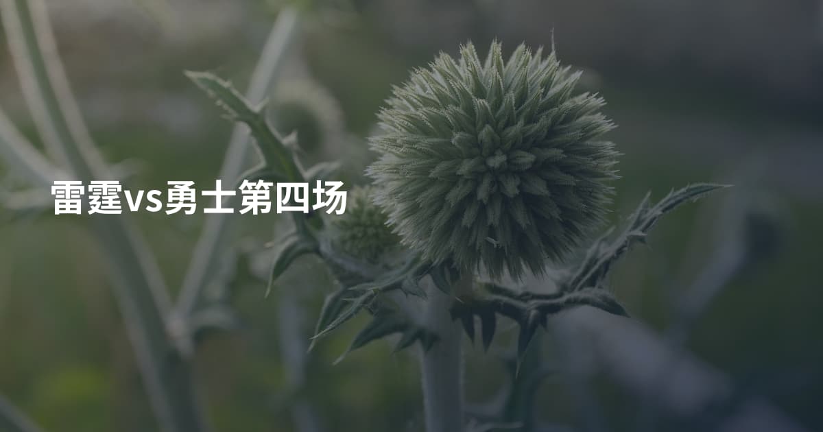 雷霆vs勇士第四场