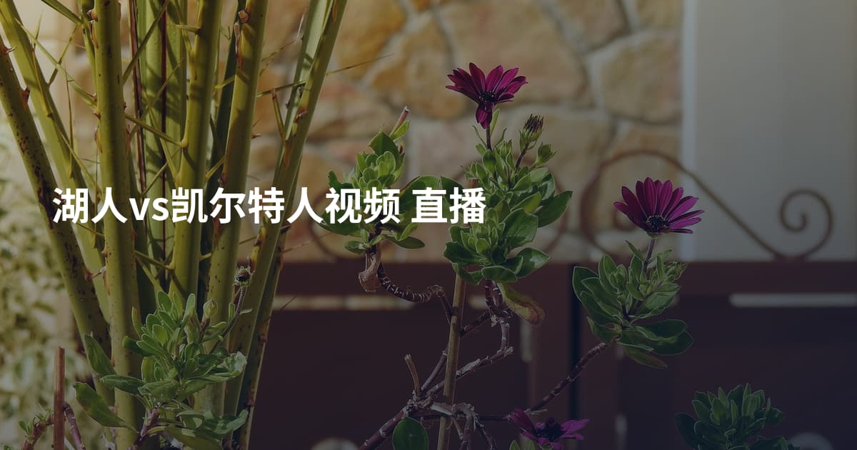 湖人vs凯尔特人视频 直播