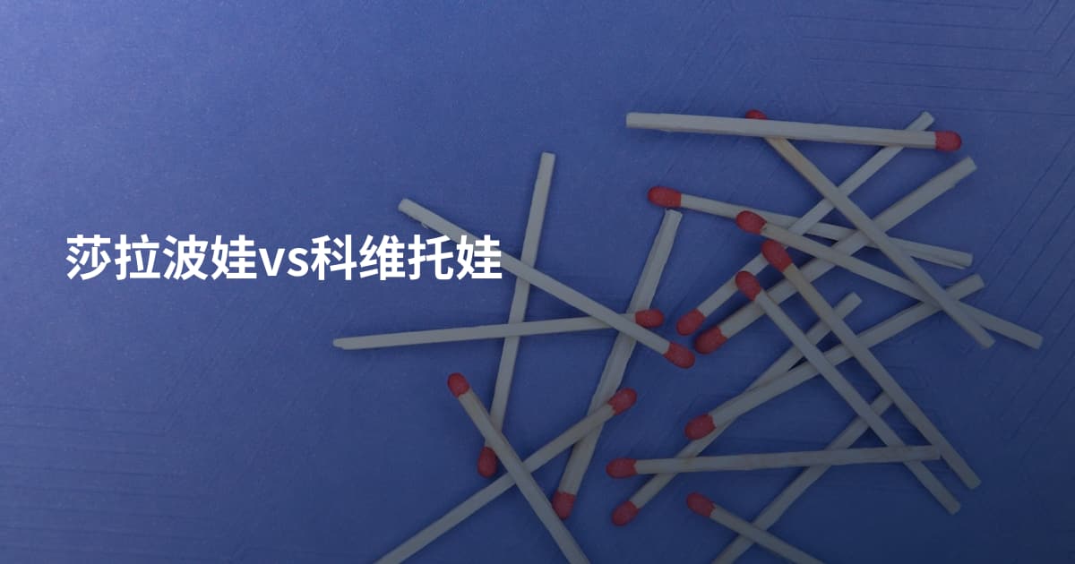 莎拉波娃vs科维托娃