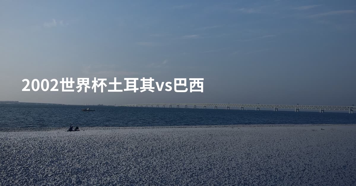 2002世界杯土耳其vs巴西