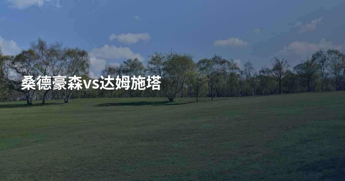 桑德豪森vs达姆施塔