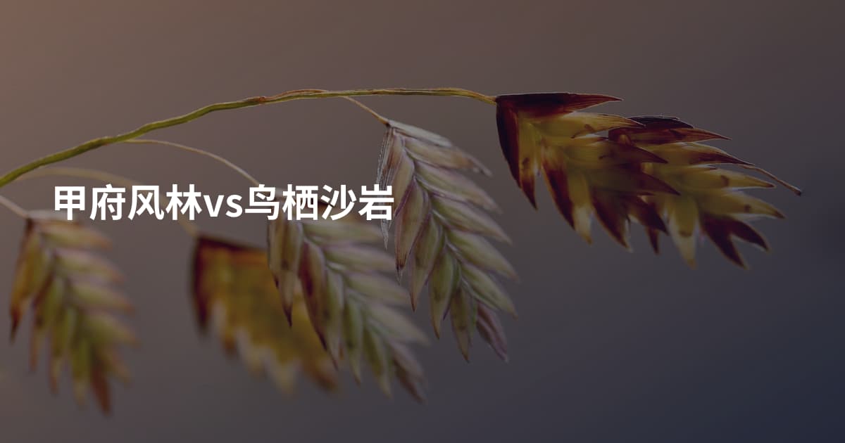 甲府风林vs鸟栖沙岩
