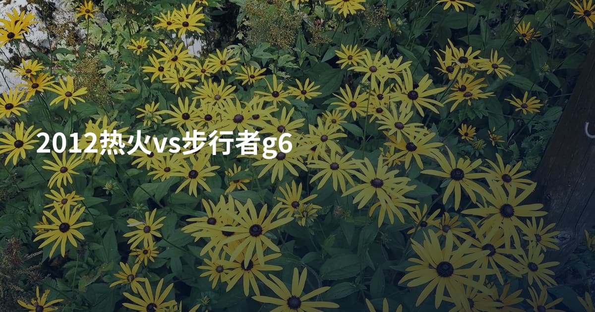 2012热火vs步行者g6
