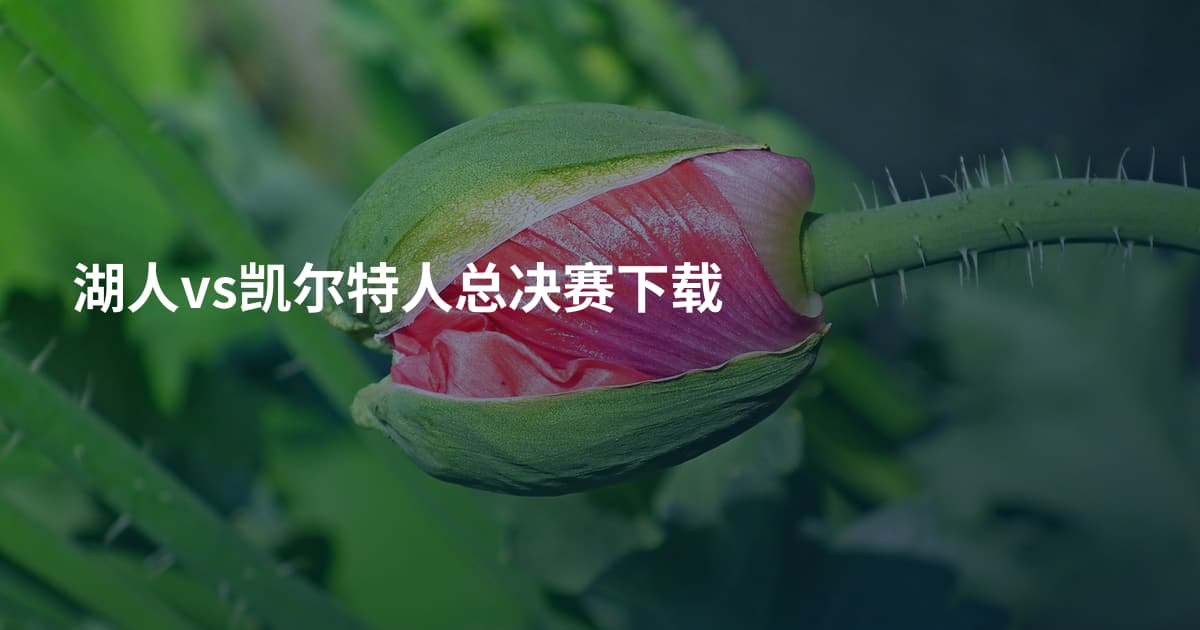 湖人vs凯尔特人总决赛下载