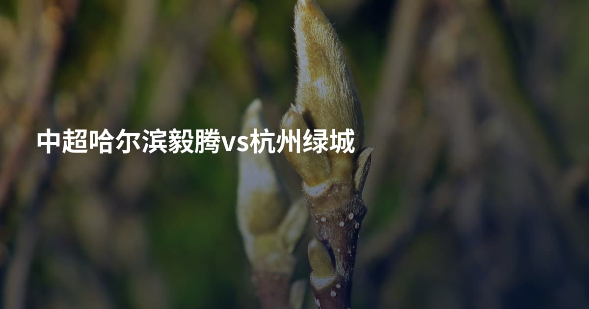 中超哈尔滨毅腾vs杭州绿城